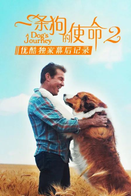 《一条狗的使命2》优酷独家幕后记录