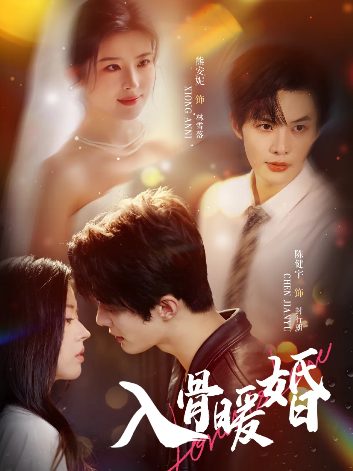 入骨暖婚